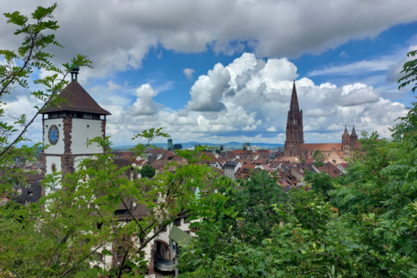 Design ohne Titel (6)