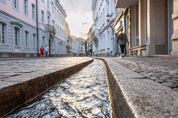 baechle-fwtm-spiegelhalter14